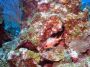 AmbergrisCaye05 - 115